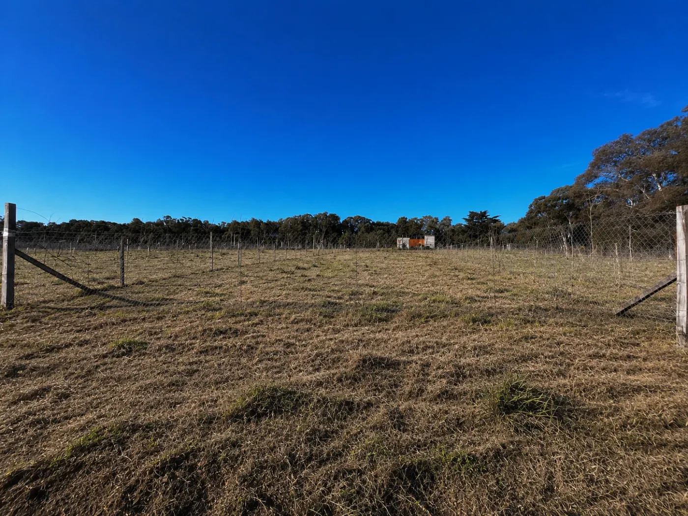 lote en Barrio LA MACIA - La Blanca, , Tandil en venta a USD 20.000