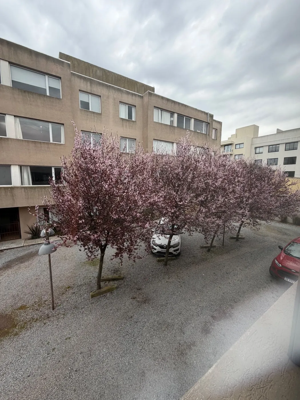 departamento en 25 de Mayo 200, , Tandil en alquiler a ARS 900.000
