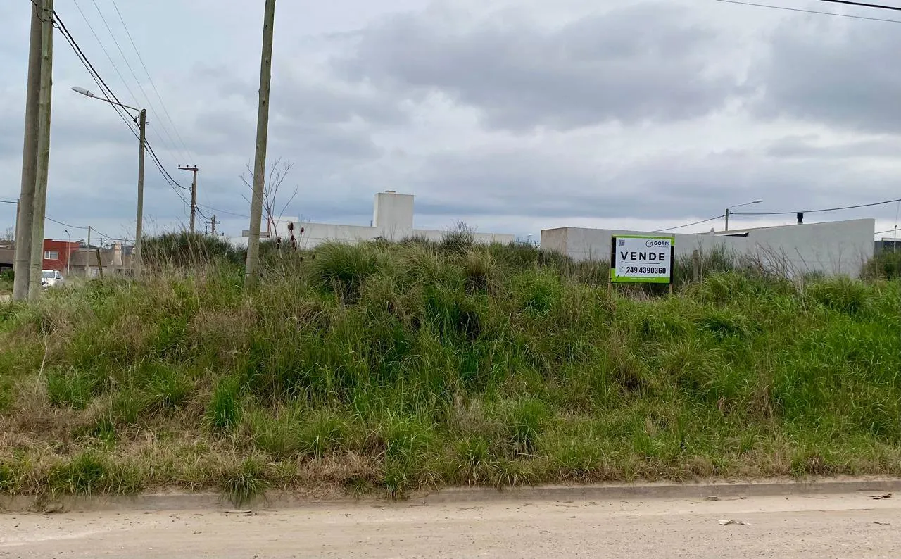 Propiedad en Tandil - Foto 1