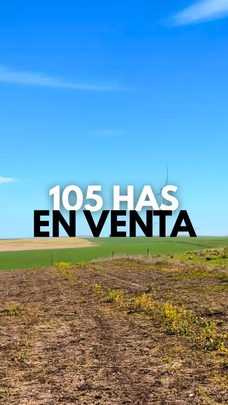 Propiedad en Tandil - Foto 1