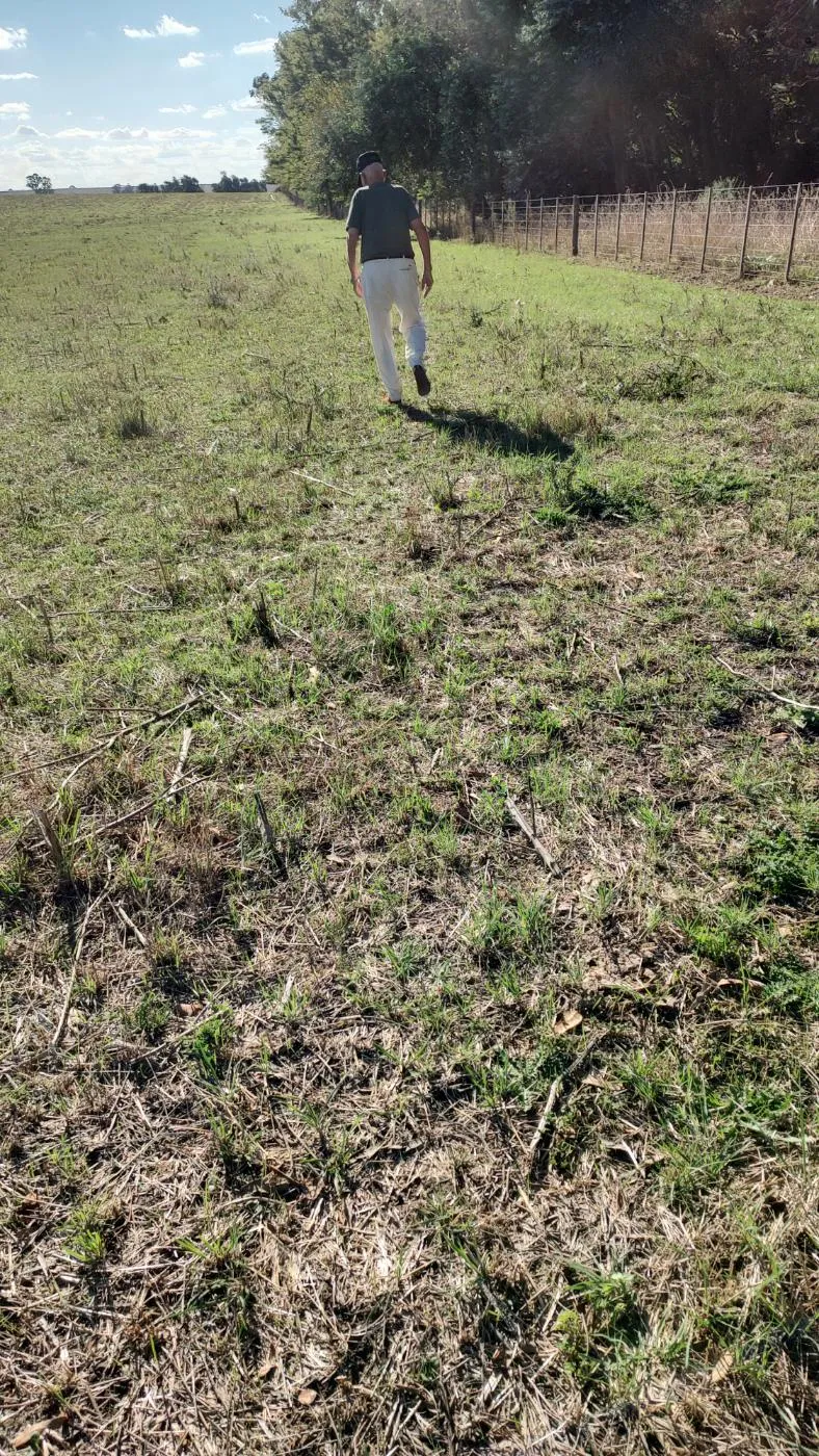 Propiedad en Tandil - Foto 1