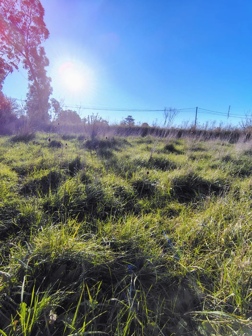 lote en IJURCO Y LA MERCED, , Tandil en venta a USD 40.000