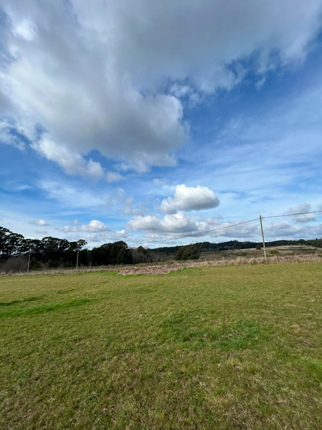 Propiedad en Tandil - Foto 14
