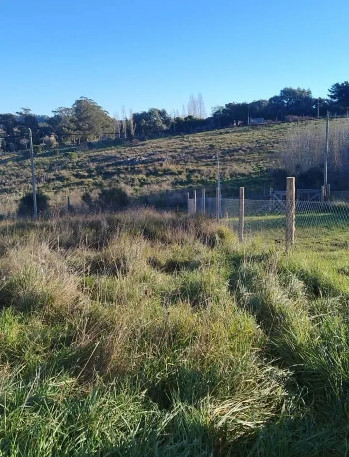 Propiedad en Tandil - Foto 2