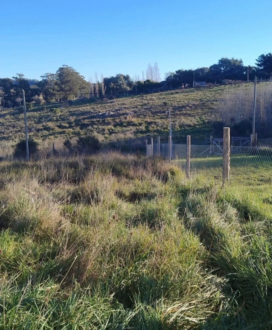 Propiedad en Tandil - Foto 2