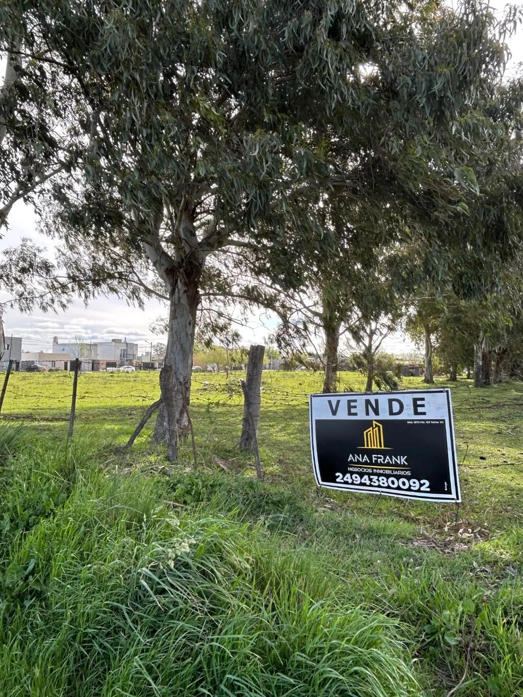 Propiedad en Tandil - Foto 2