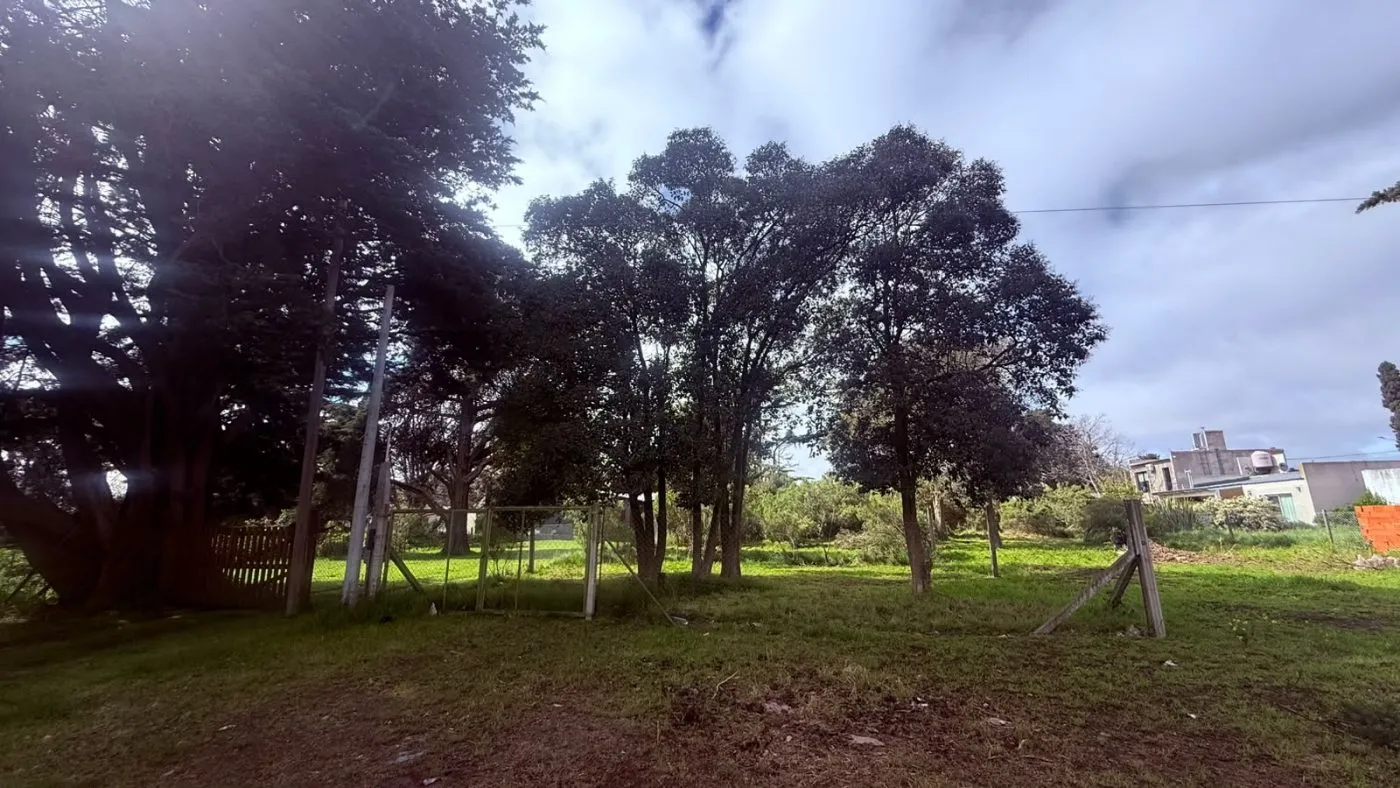 Propiedad en Tandil - Foto 2
