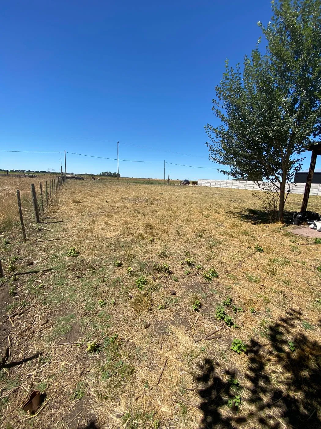 Propiedad en Tandil - Foto 2
