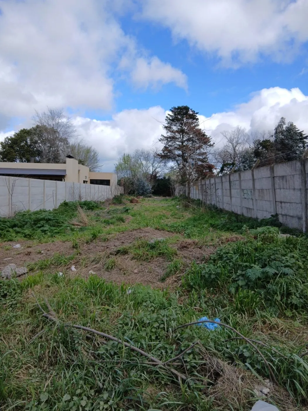 Propiedad en Tandil - Foto 3