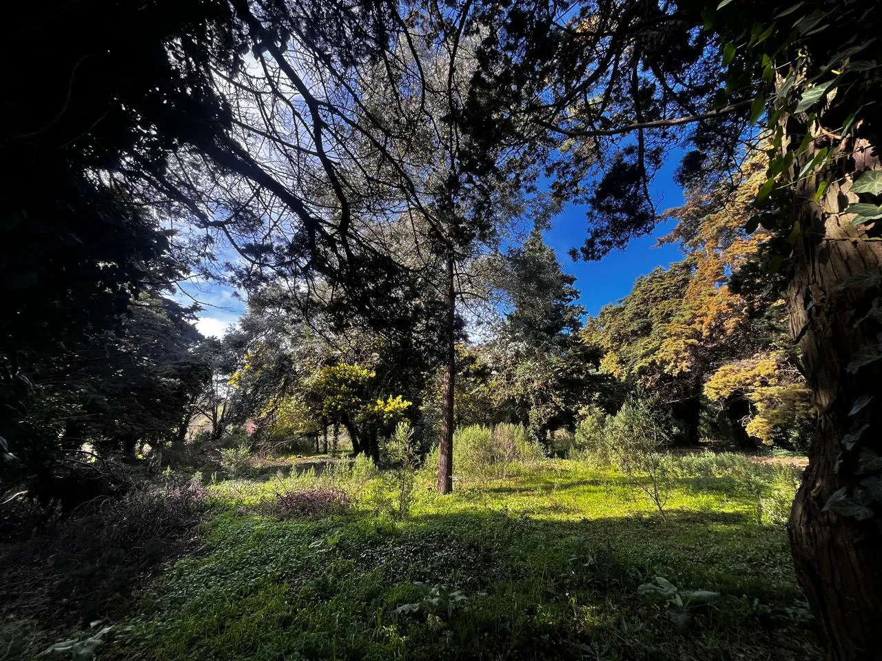 Propiedad en Tandil - Foto 2