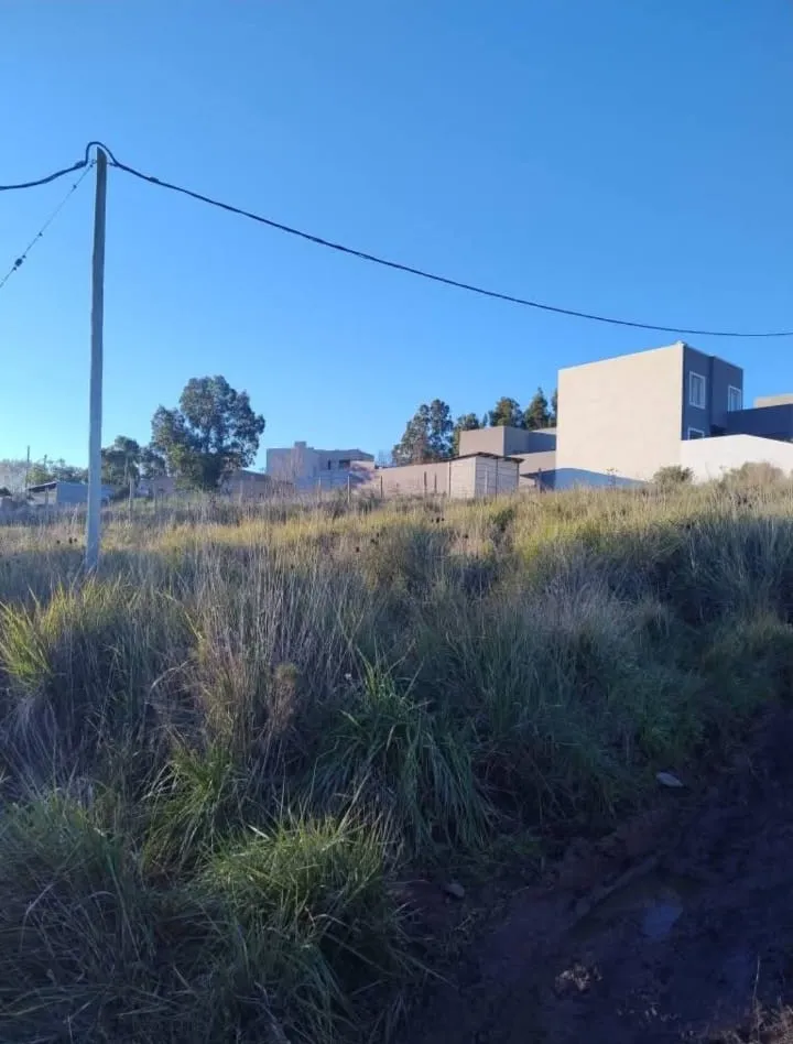 Propiedad en Tandil - Foto 4
