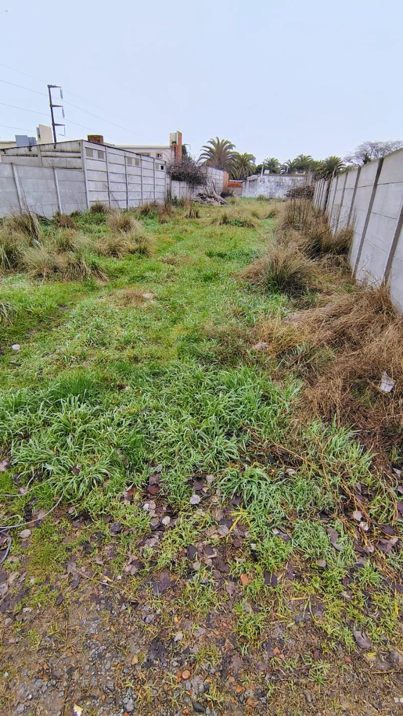 Propiedad en Tandil - Foto 4
