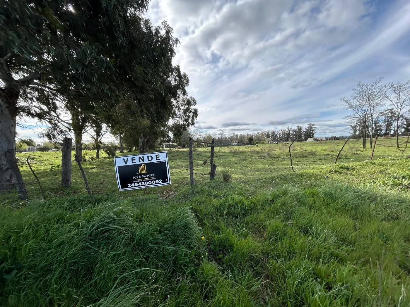 Propiedad en Tandil - Foto 4