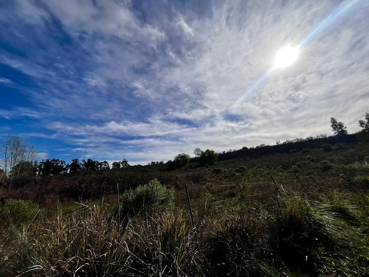 Propiedad en Tandil - Foto 9