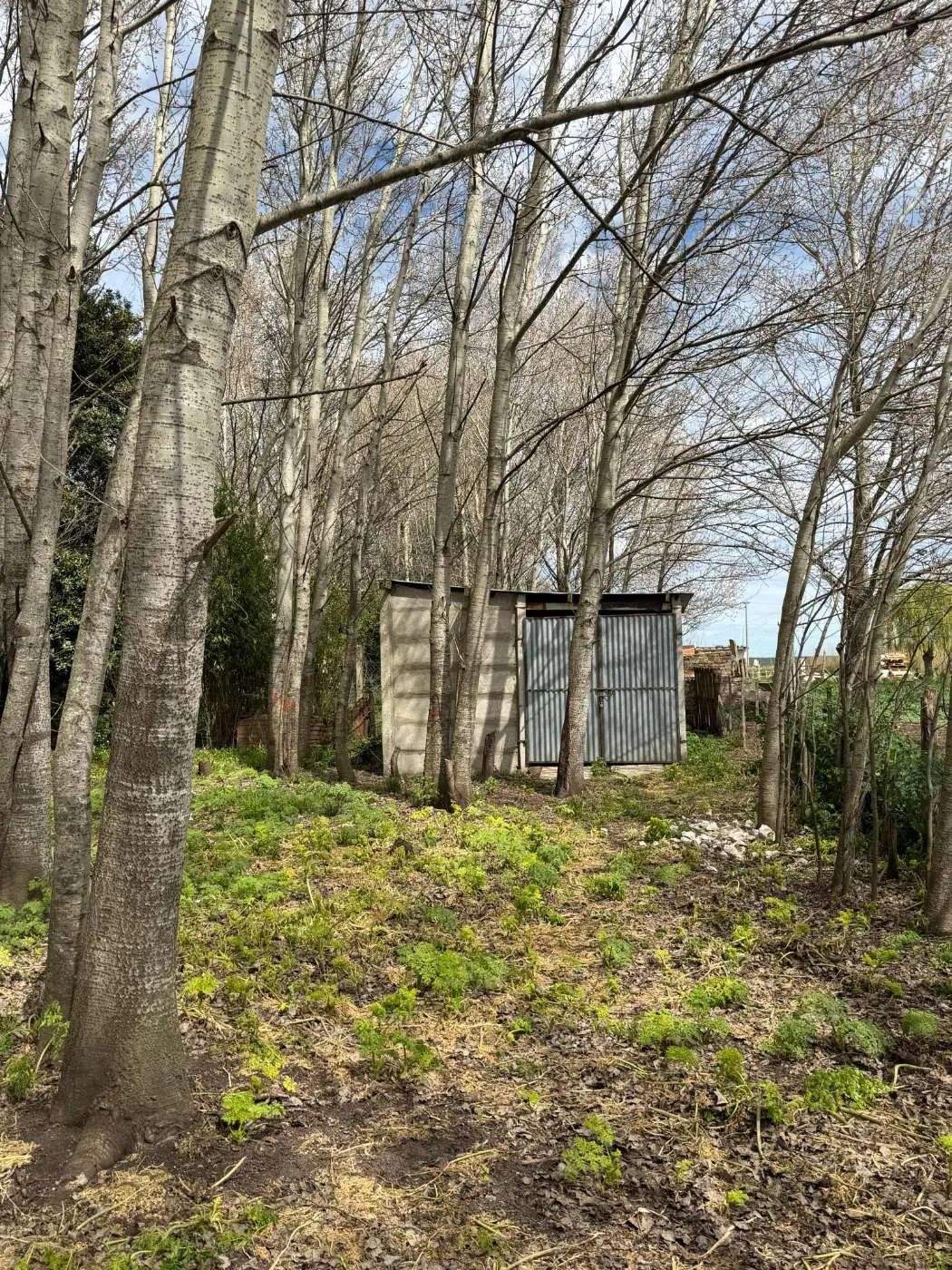Propiedad en Tandil - Foto 10