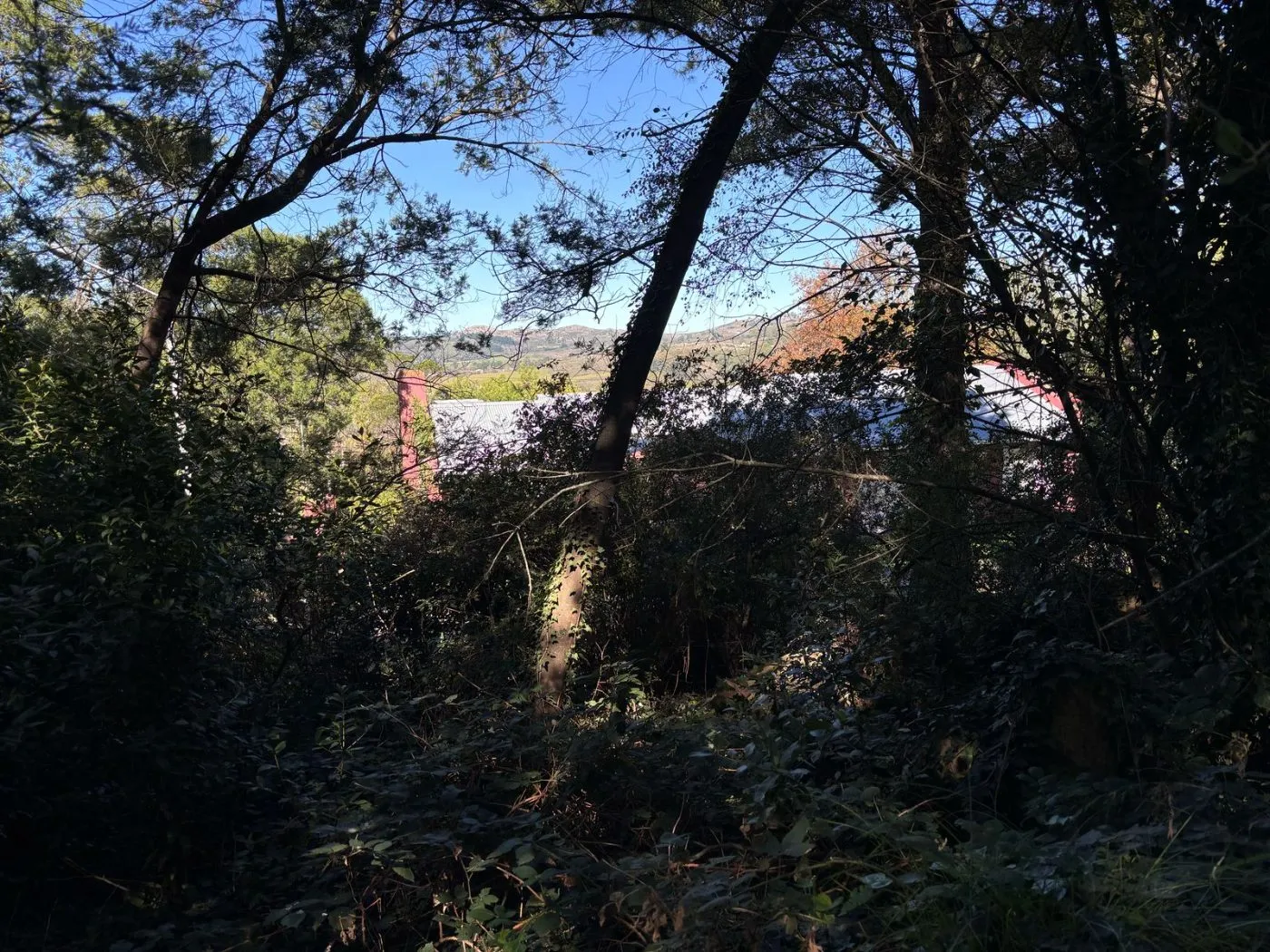 Propiedad en Tandil - Foto 2