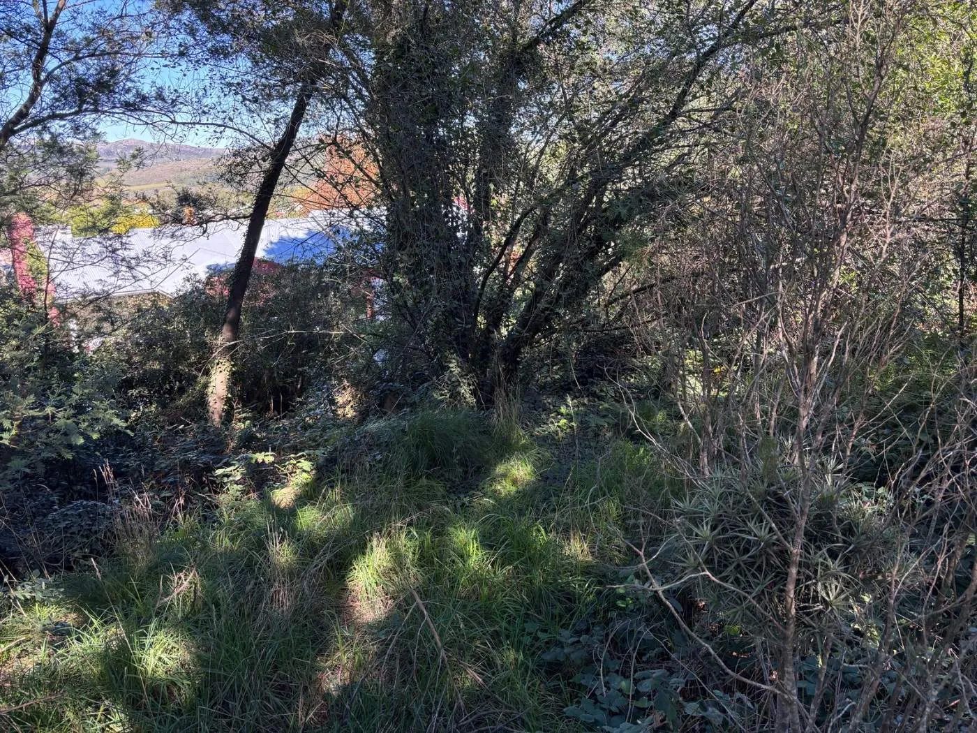 Propiedad en Tandil - Foto 8