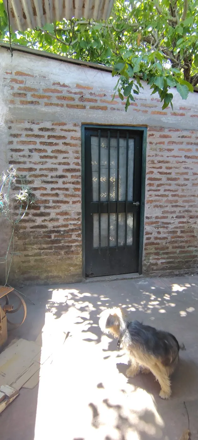 Propiedad en Tandil - Foto 2