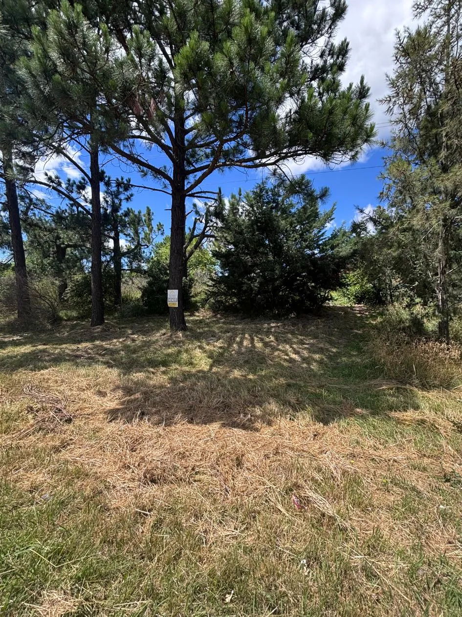 Propiedad en Tandil - Foto 2