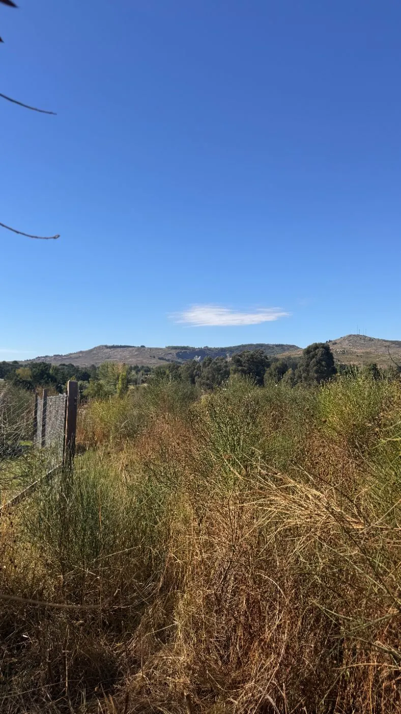 lote en Scavini 345, , Tandil en venta a USD 42.000