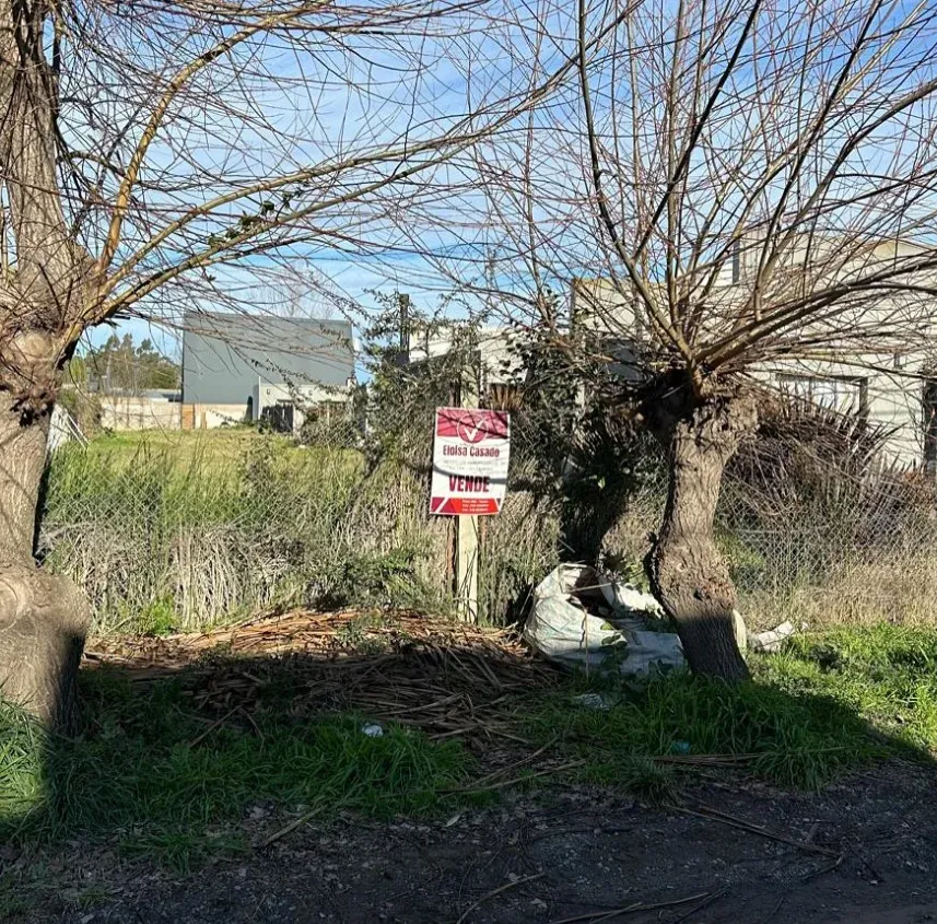 Propiedad en Tandil - Foto 3