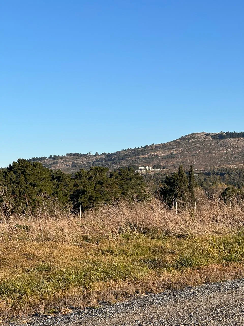 Propiedad en Tandil - Foto 2