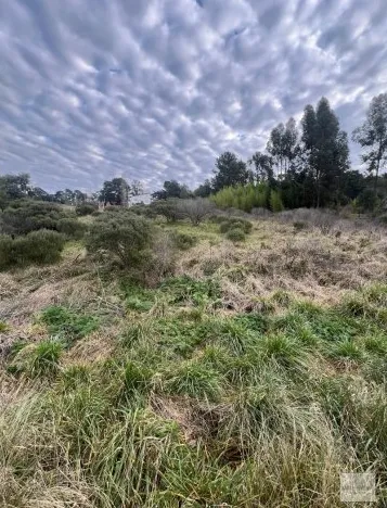 Propiedad en Tandil - Foto 2