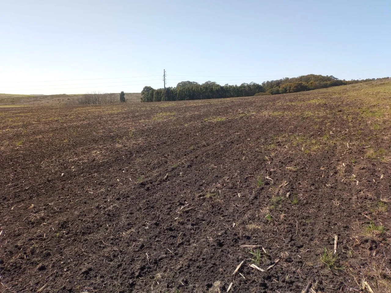 campo en Tandil, , Tandil en venta a USD 20.000