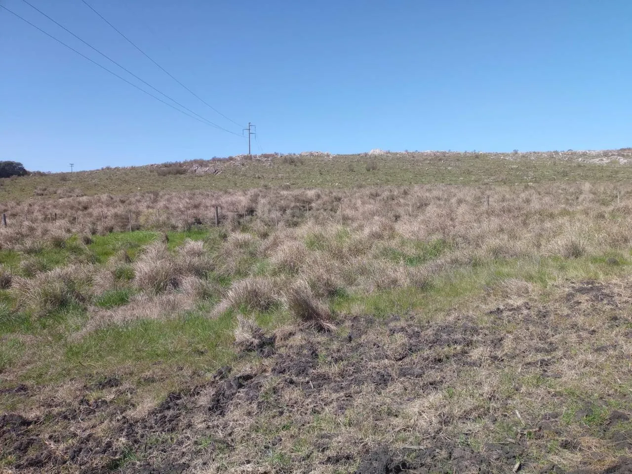 Propiedad en Tandil - Foto 4