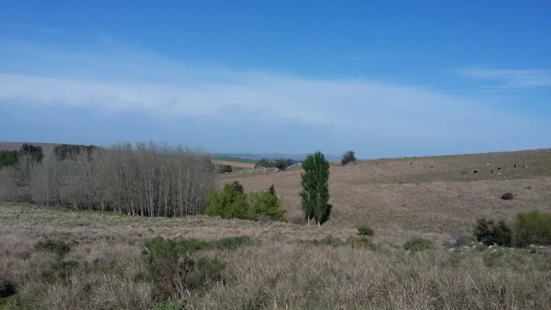 campo en Ruta 30, , Tandil en venta a USD 550.000