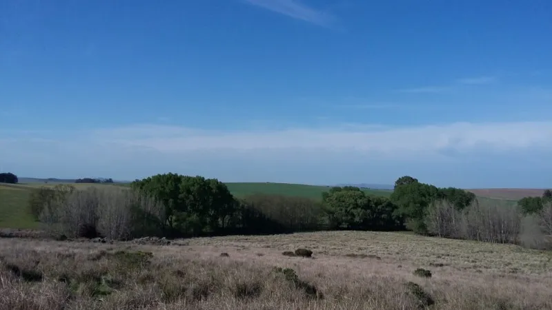 Propiedad en Tandil - Foto 2