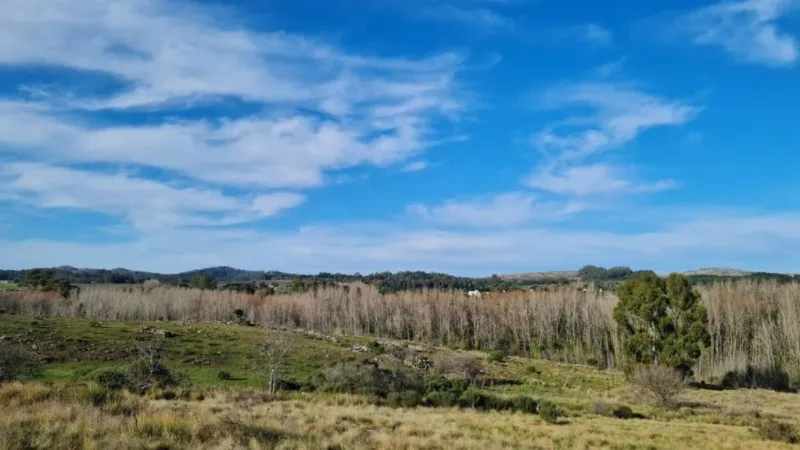 Propiedad en Tandil - Foto 4