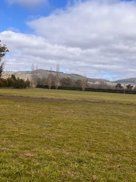 Propiedad en Tandil - Foto 1