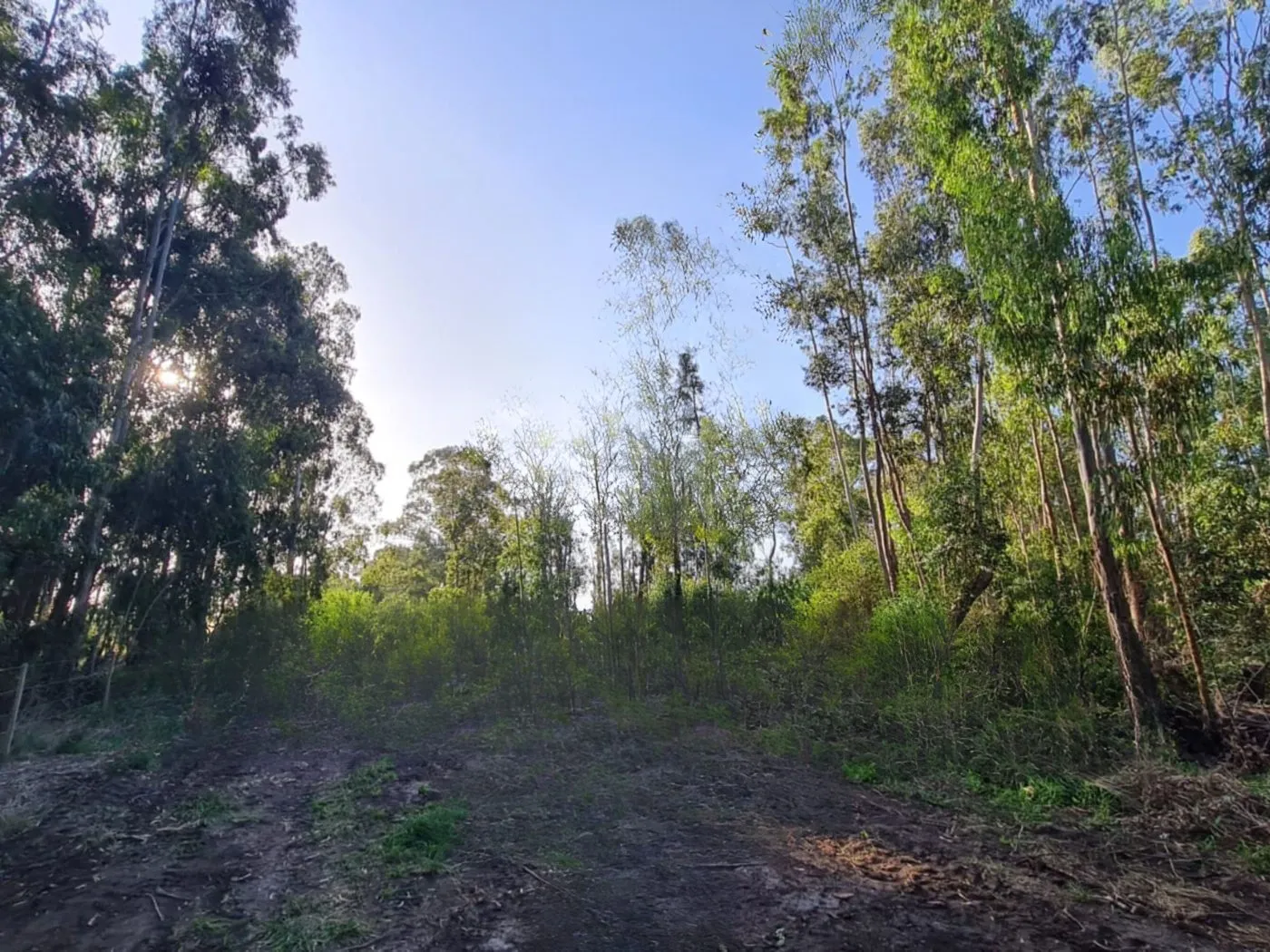 lote en Ronca Hue, , Tandil en venta a USD 49.800
