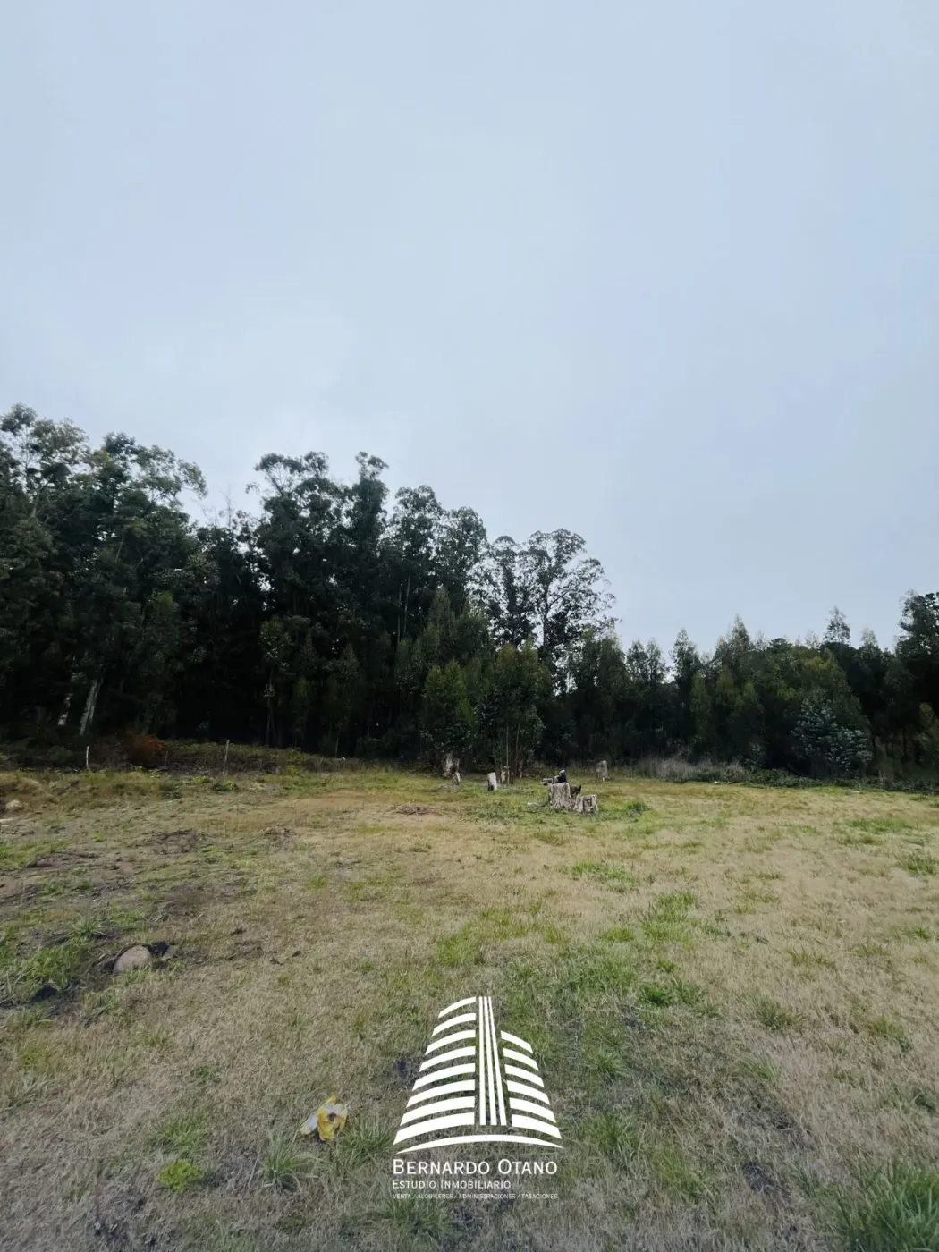 Propiedad en Tandil - Foto 2