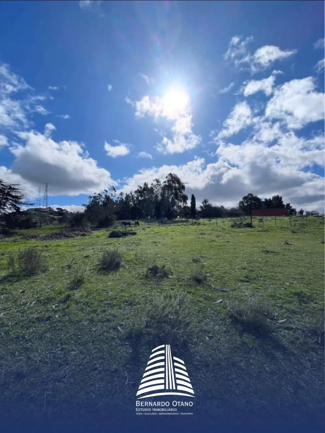 Propiedad en Tandil - Foto 3